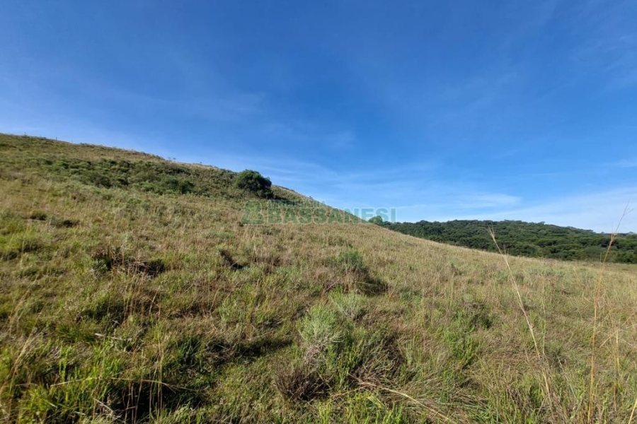Terreno, no bairro Fazenda Souza em Caxias do Sul para Comprar