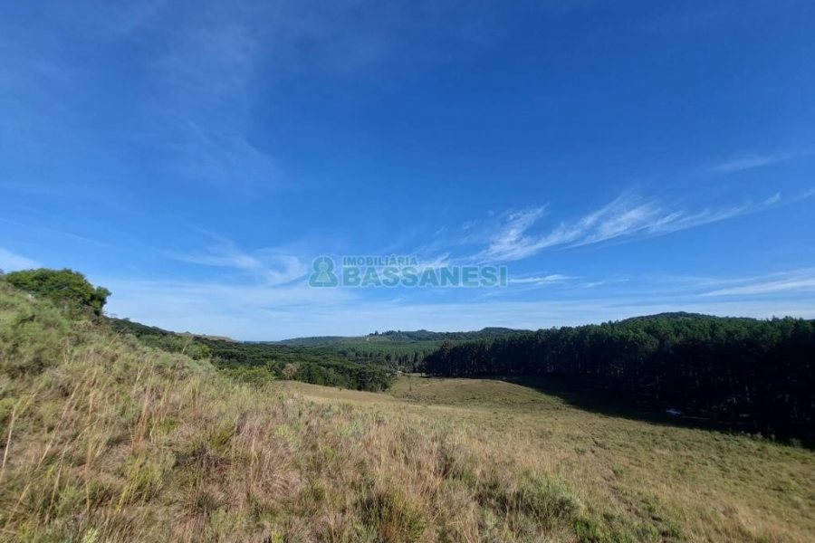 Terreno, no bairro Fazenda Souza em Caxias do Sul para Comprar