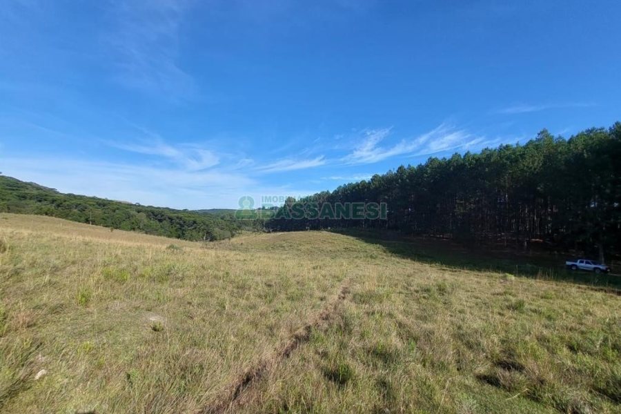 Terreno, no bairro Fazenda Souza em Caxias do Sul para Comprar