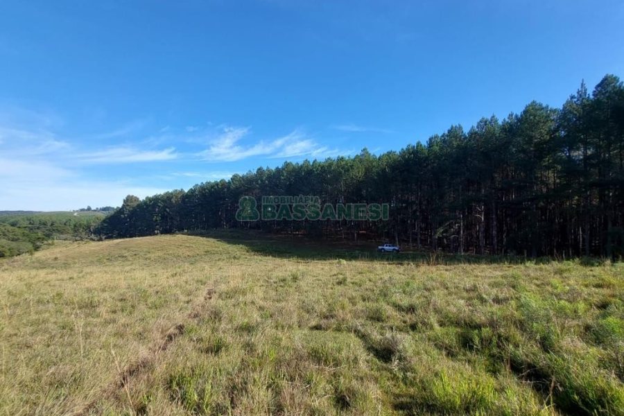 Terreno, no bairro Fazenda Souza em Caxias do Sul para Comprar
