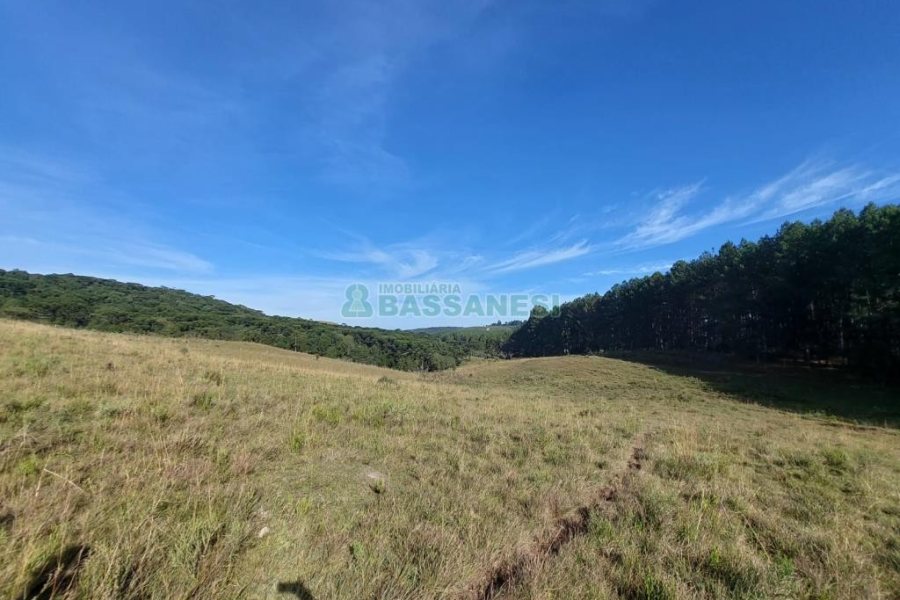Terreno, no bairro Fazenda Souza em Caxias do Sul para Comprar