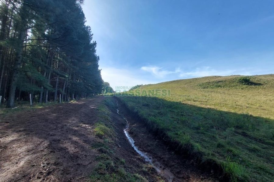 Terreno, no bairro Fazenda Souza em Caxias do Sul para Comprar