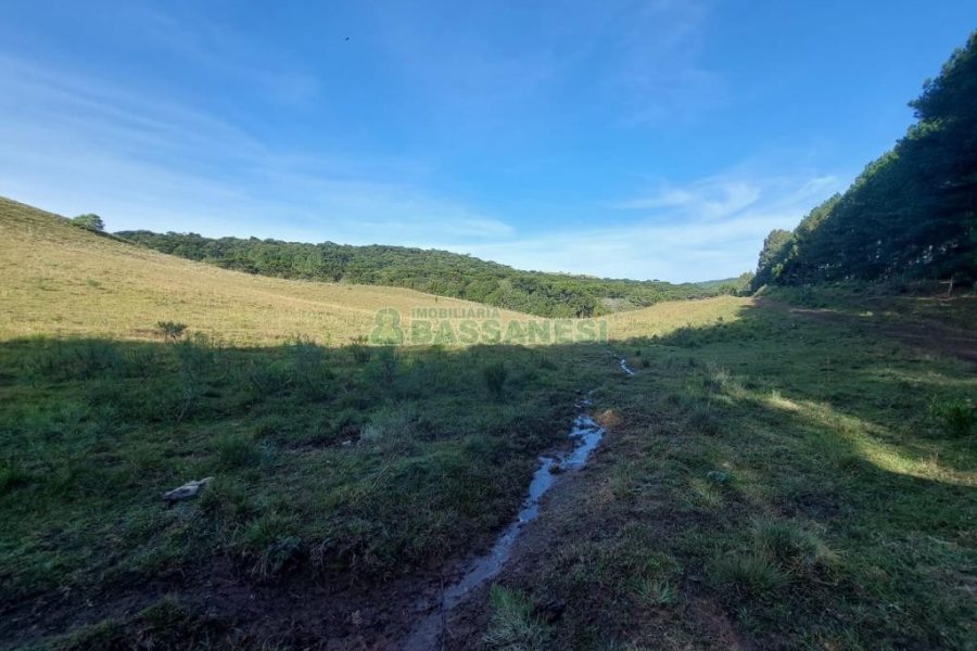 Terreno, no bairro Fazenda Souza em Caxias do Sul para Comprar