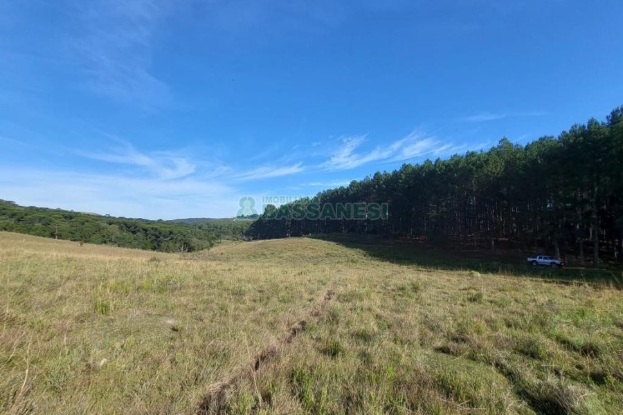 Terreno, no bairro Fazenda Souza em Caxias do Sul para Comprar