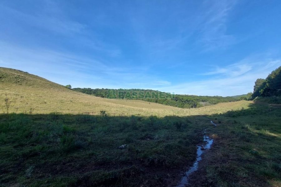 Terreno, no bairro Fazenda Souza em Caxias do Sul para Comprar