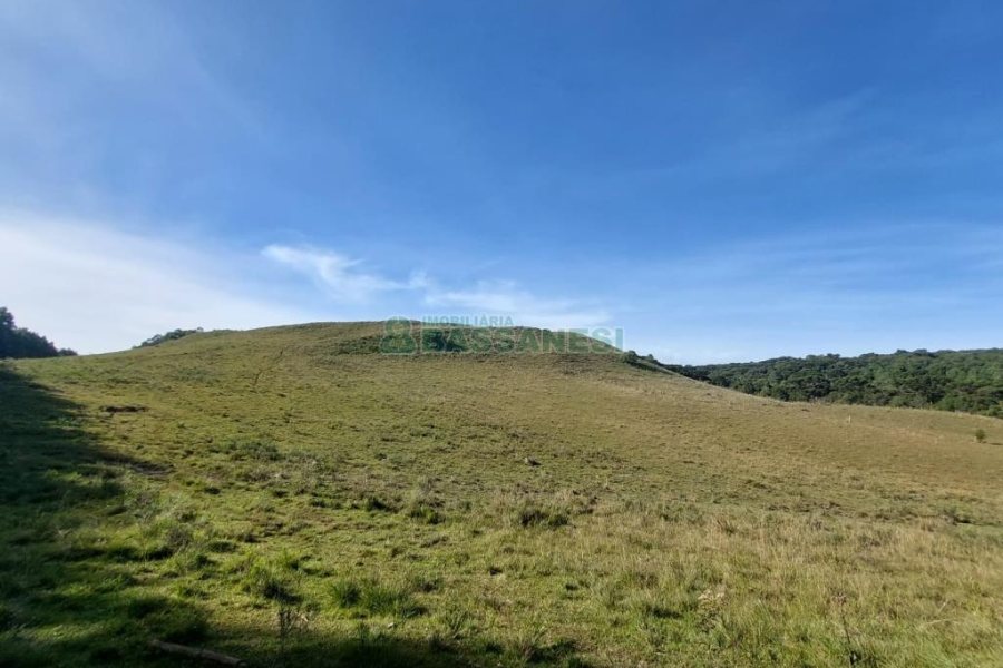 Terreno, no bairro Fazenda Souza em Caxias do Sul para Comprar
