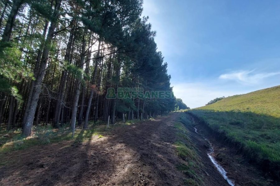 Terreno, no bairro Fazenda Souza em Caxias do Sul para Comprar