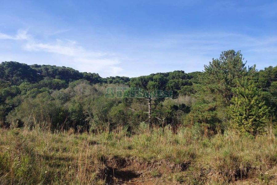 Terreno, no bairro Fazenda Souza em Caxias do Sul para Comprar
