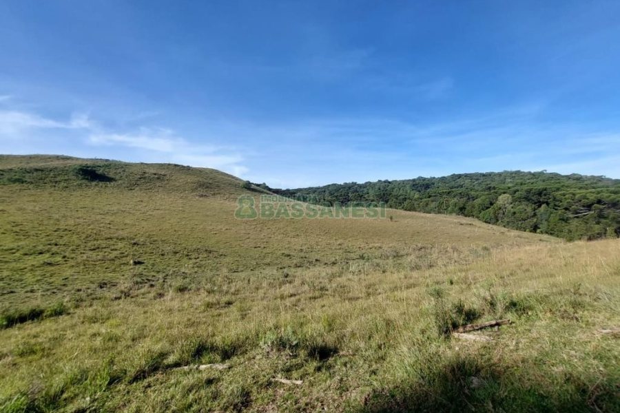Terreno, no bairro Fazenda Souza em Caxias do Sul para Comprar