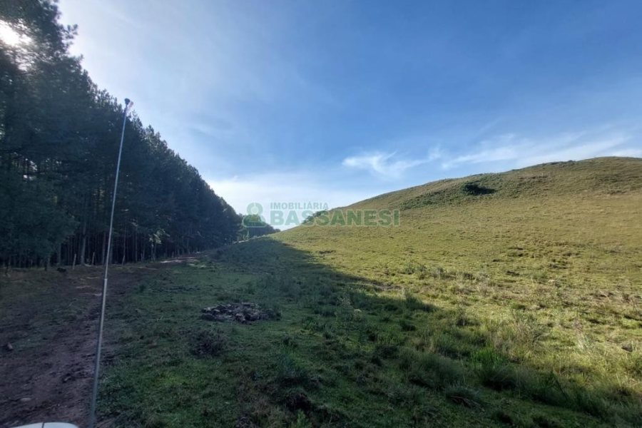 Terreno, no bairro Fazenda Souza em Caxias do Sul para Comprar