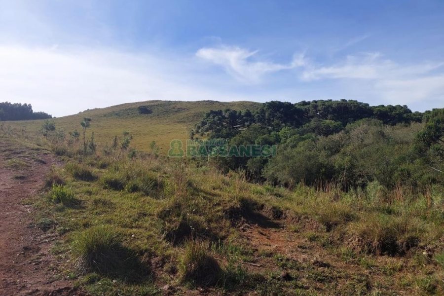 Terreno, no bairro Fazenda Souza em Caxias do Sul para Comprar