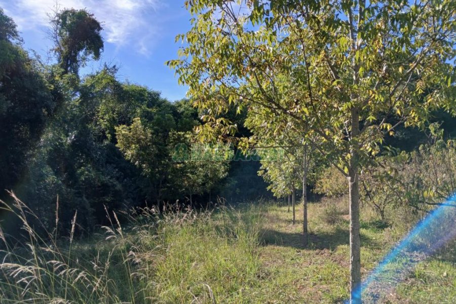 Chácara com 20000m², no bairro Linha 40 em Caxias do Sul para Comprar