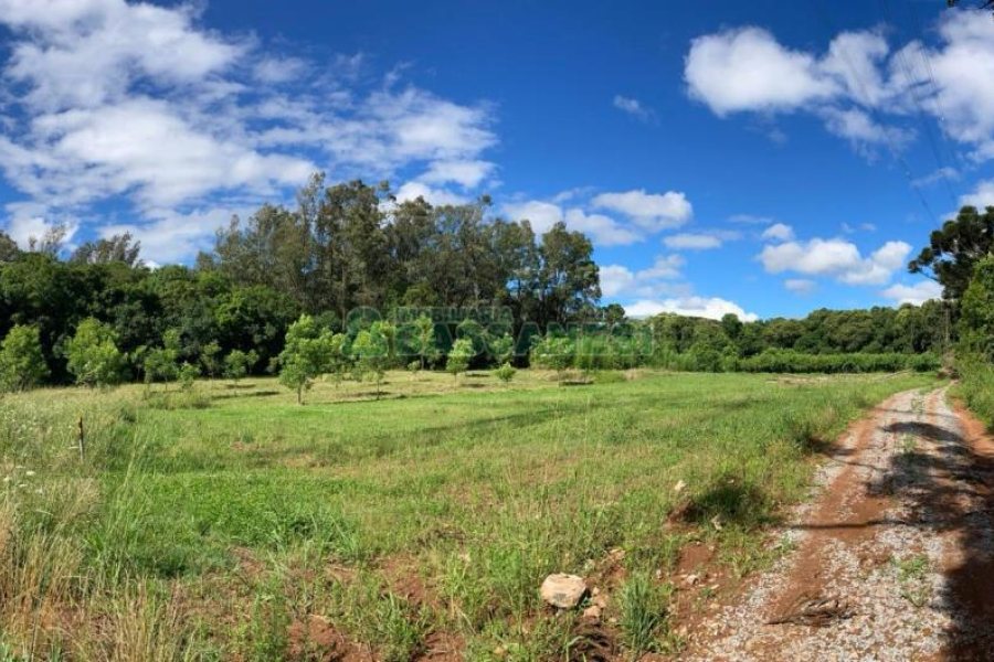 Chácara com 20000m², no bairro Linha 40 em Caxias do Sul para Comprar