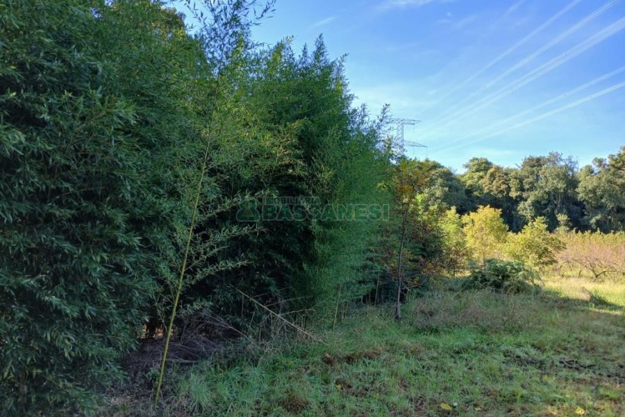 Chácara com 20000m², no bairro Linha 40 em Caxias do Sul para Comprar