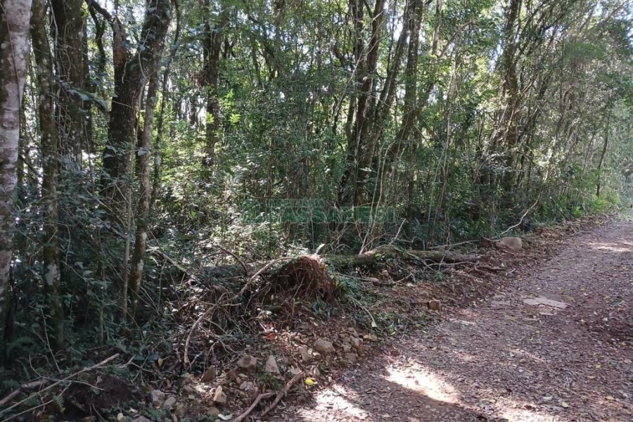 Chácara com 20000m², no bairro Linha 40 em Caxias do Sul para Comprar