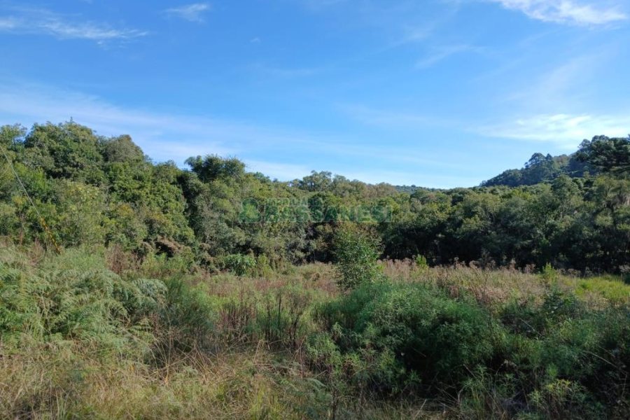 Chácara com 20000m², no bairro Linha 40 em Caxias do Sul para Comprar