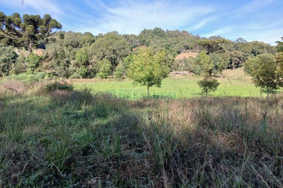 Chácara com 20000m², no bairro Linha 40 em Caxias do Sul para Comprar