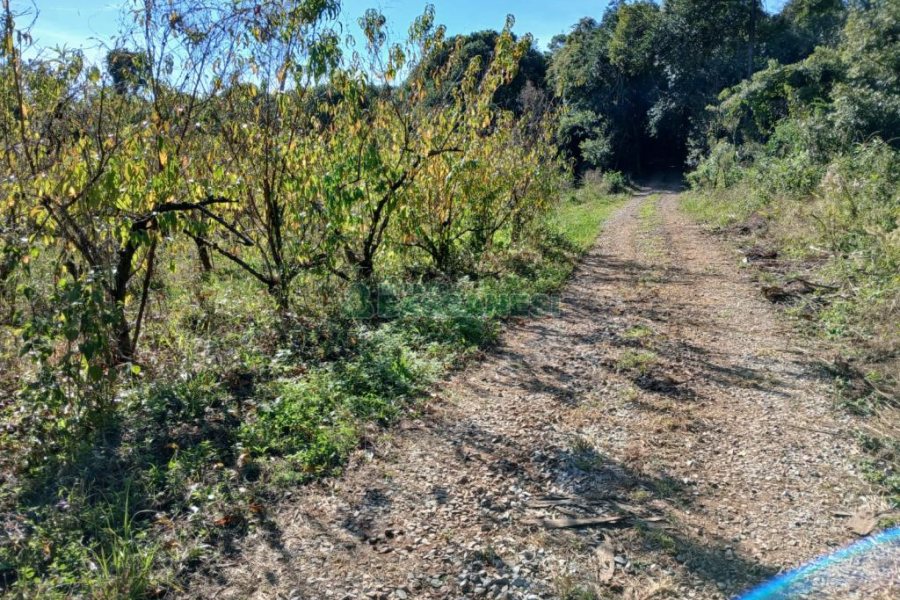 Chácara com 20000m², no bairro Linha 40 em Caxias do Sul para Comprar