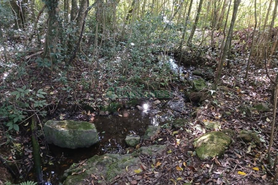 Chácara com 20000m², no bairro Linha 40 em Caxias do Sul para Comprar