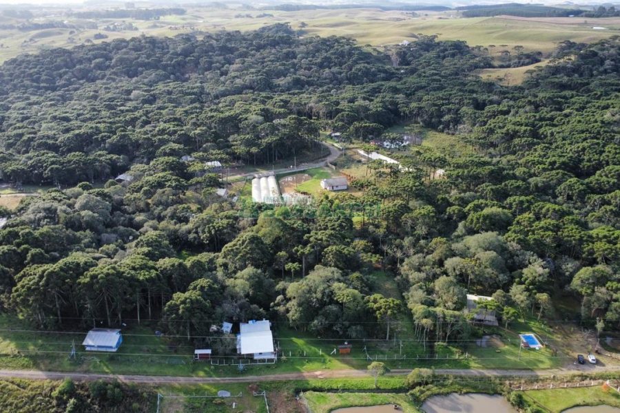 Chácara com 300m², 3 dormitórios, no bairro Apanhador em Caxias do Sul para Comprar