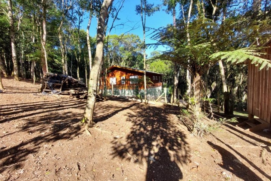 Chácara com 230m², 3 dormitórios, 3 vagas, no bairro São Virgílio em Caxias do Sul para Comprar