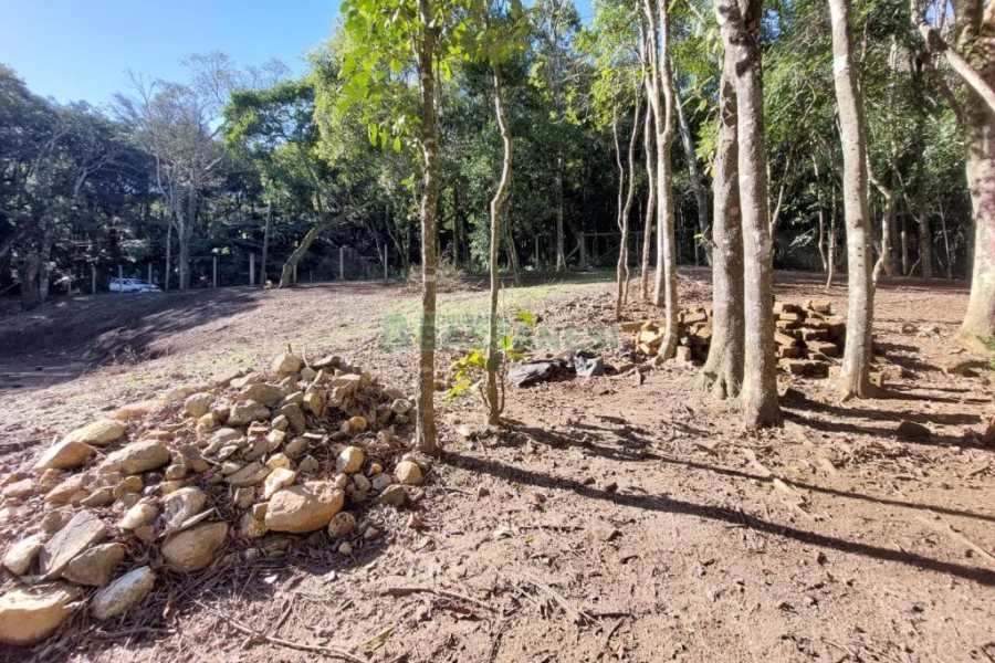 Chácara com 230m², 3 dormitórios, 3 vagas, no bairro São Virgílio em Caxias do Sul para Comprar