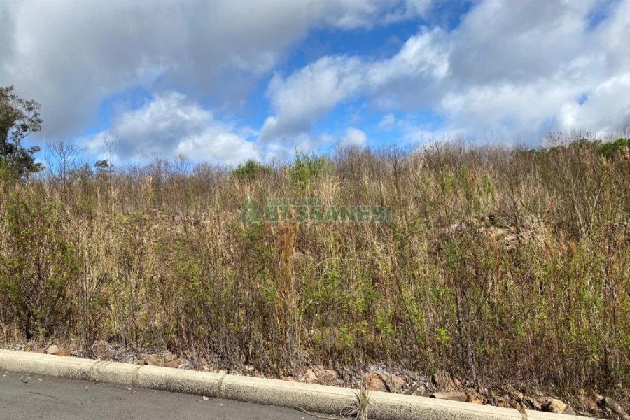 Terreno com 319m², no bairro Nossa Senhora das Graças em Caxias do Sul para Comprar