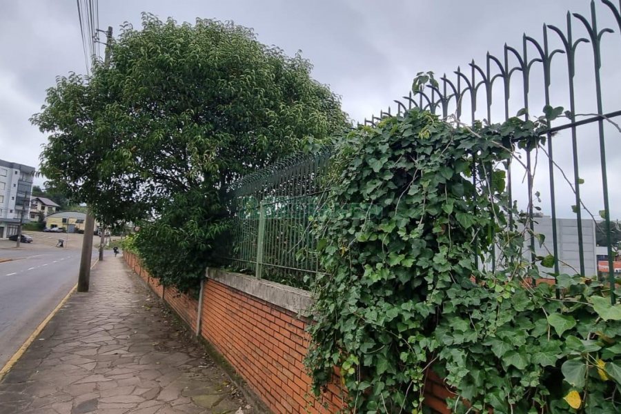 Terreno com 2000m², no bairro Nossa Senhora da Saúde em Caxias do Sul para Comprar