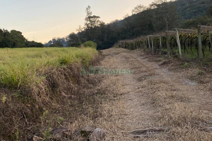 Terreno com 113285m², no bairro Vila Lobos em Caxias do Sul para Comprar