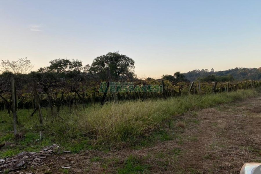 Terreno com 113285m², no bairro Vila Lobos em Caxias do Sul para Comprar