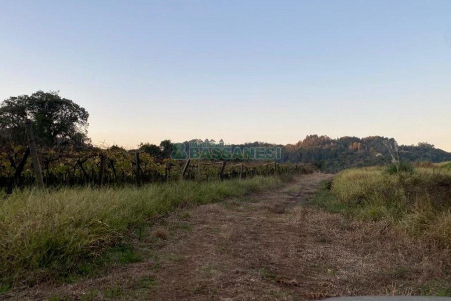 Terreno com 113285m², no bairro Vila Lobos em Caxias do Sul para Comprar