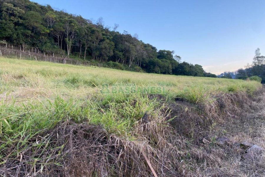 Terreno com 113285m², no bairro Vila Lobos em Caxias do Sul para Comprar