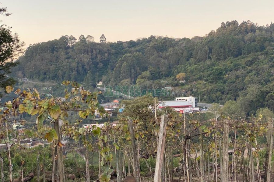 Terreno com 113285m², no bairro Vila Lobos em Caxias do Sul para Comprar