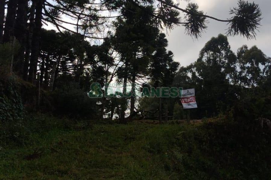 Terreno com 15257m², no bairro Jardim Iracema em Caxias do Sul para Comprar