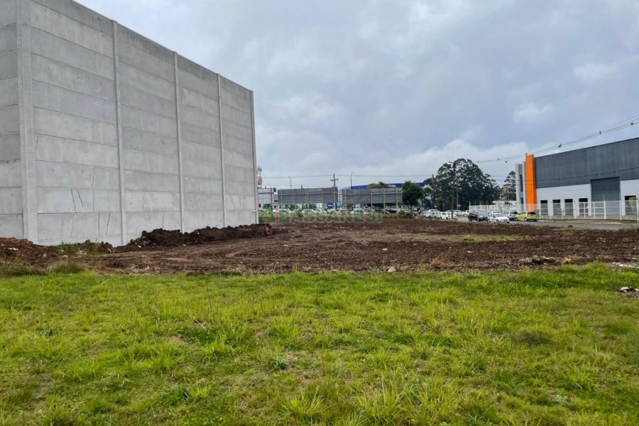 Terreno com 5000m², no bairro Sanvitto em Caxias do Sul para Comprar