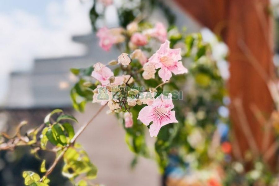 Apartamento com 110m², 3 dormitórios, 2 vagas, no bairro Petrópolis em Caxias do Sul para Comprar