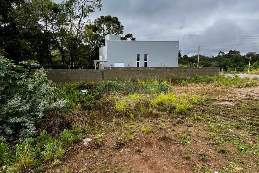 Terreno com 300m², no bairro São Giácomo em Caxias do Sul para Comprar