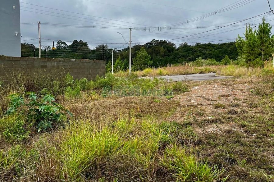Terreno com 300m², no bairro São Giácomo em Caxias do Sul para Comprar