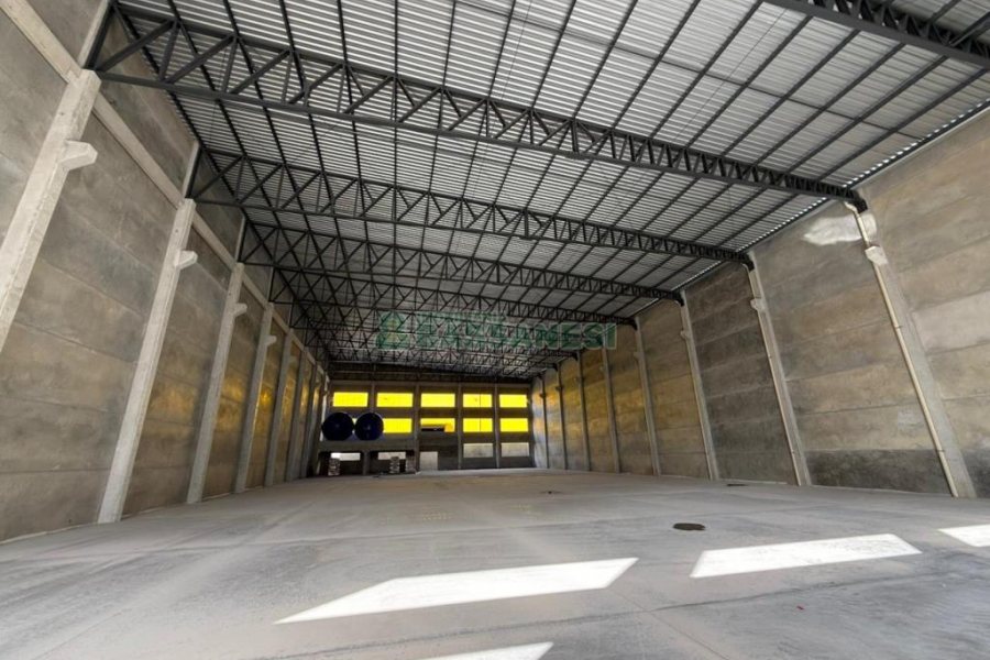 Pavilhão com 1434m², no bairro Distrito Industrial em Caxias do Sul para Alugar