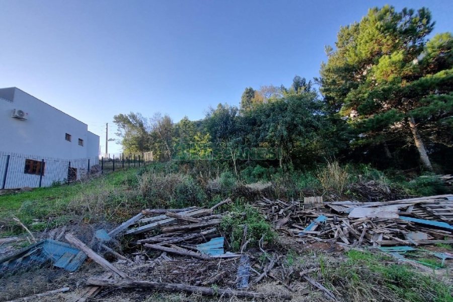 Terreno com 720m², no bairro São Luiz em Caxias do Sul para Alugar