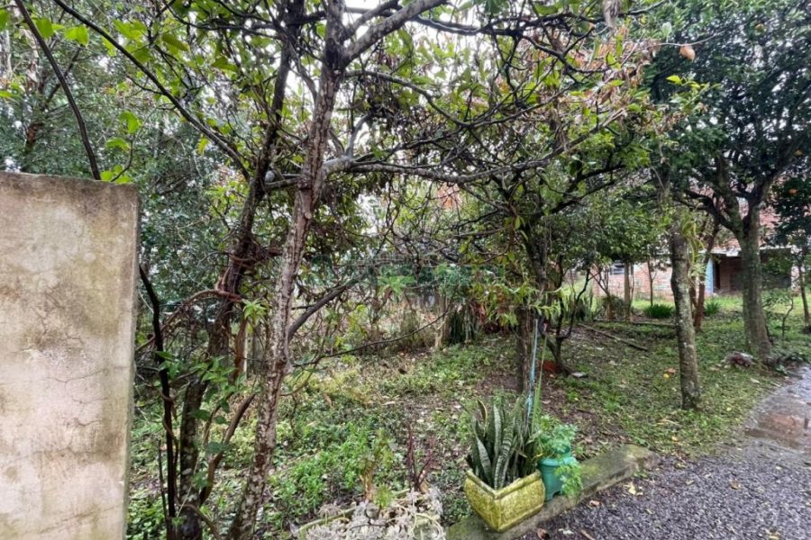 Casa com 360m², 2 dormitórios, no bairro Nossa Senhora de Fátima em Caxias do Sul para Comprar