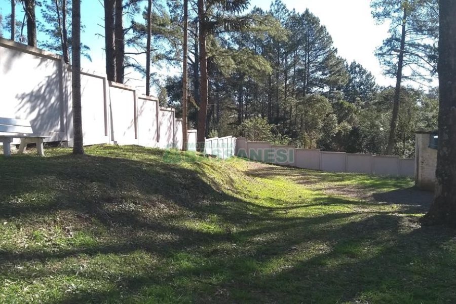 Pavilhão com 3370m², no bairro Santa Fé em Caxias do Sul para Alugar