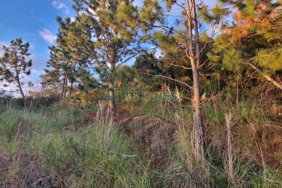 Terreno com 360m², no bairro Parada Cristal em Caxias do Sul para Comprar