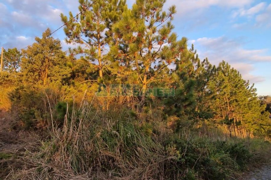 Terreno com 360m², no bairro Parada Cristal em Caxias do Sul para Comprar