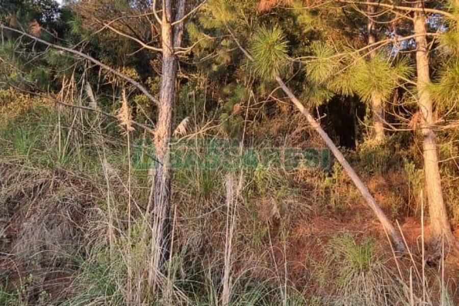 Terreno com 360m², no bairro Parada Cristal em Caxias do Sul para Comprar