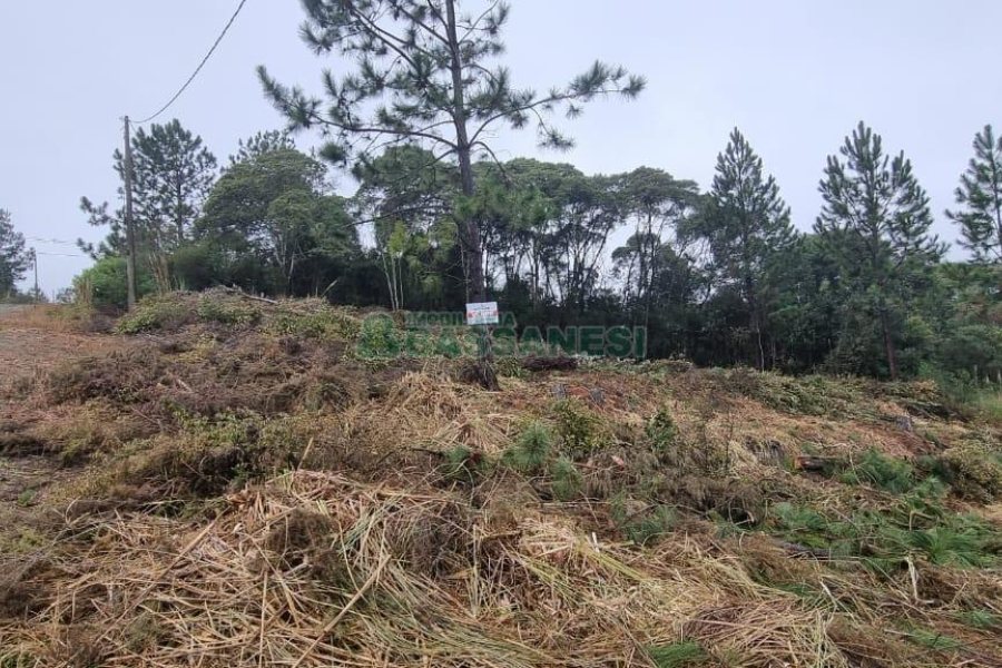 Terreno com 300m², no bairro Parada Cristal em Caxias do Sul para Comprar