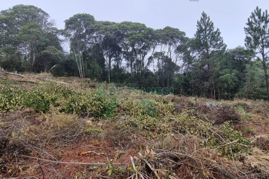 Terreno com 300m², no bairro Parada Cristal em Caxias do Sul para Comprar