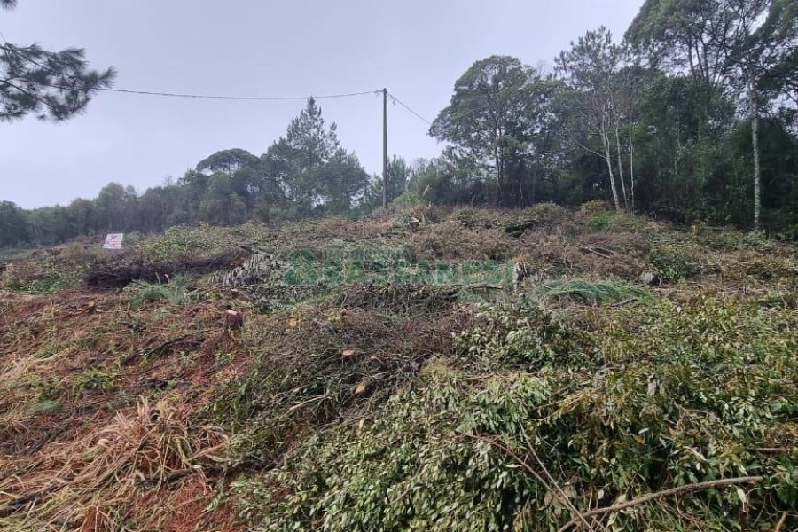 Terreno com 300m², no bairro Parada Cristal em Caxias do Sul para Comprar