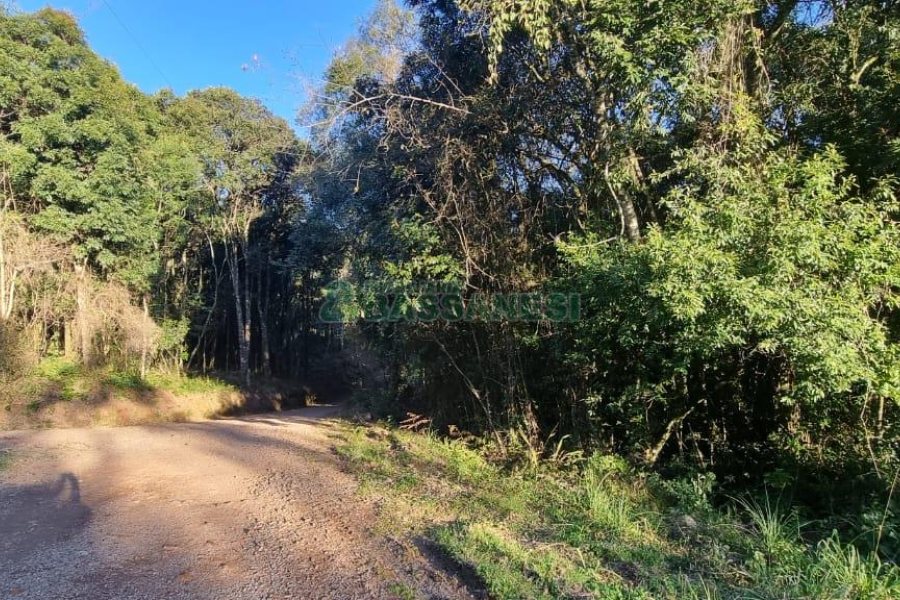 Terreno com 25260m², no bairro Fazenda Souza em Caxias do Sul para Comprar