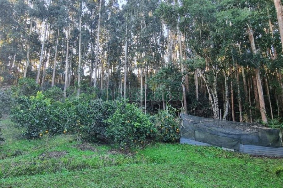 Terreno com 25260m², no bairro Fazenda Souza em Caxias do Sul para Comprar